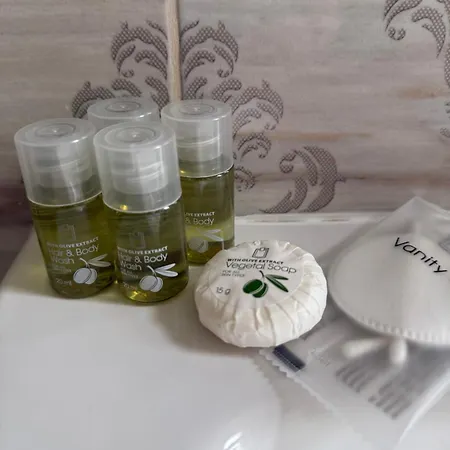 Elegance Retreat Τιμισοάρα