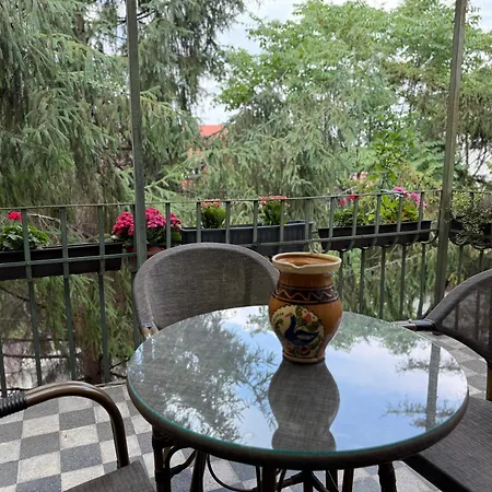 Elegance Retreat * Τιμισοάρα