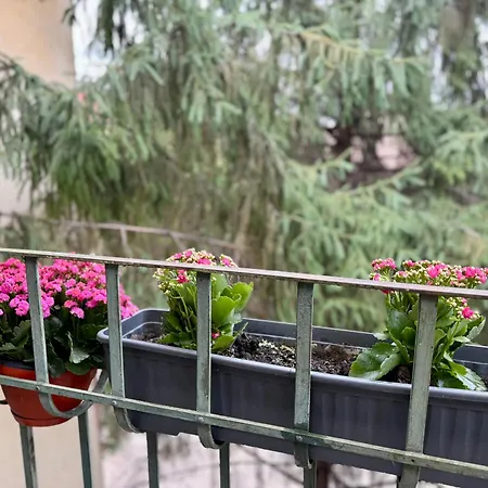 Elegance Retreat Apartmán